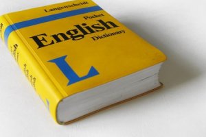 Técnicas de Tradução e Interpretação em Inglês