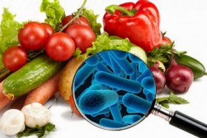 Introdução à Microbiologia Alimentar